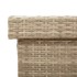 Caja de almacenaje jardín ruedas ratán PE beige 160x55x75