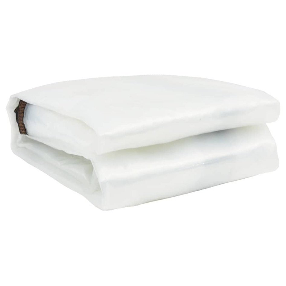 Lona transparente con ojales polietileno 8x10