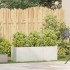 Jardinera de acero laminado en frío blanco 120x40x40