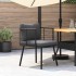 Silla de jardín con cojines ratán sintético