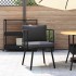 Silla de jardín con cojines ratán sintético