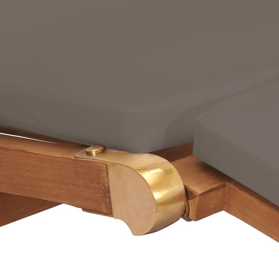 Tumbona con cojín gris oscuro madera maciza de