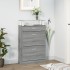 Mueble zapatero madera contrachapada gris Sonoma 63x24x104