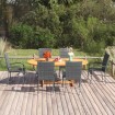Set de muebles de comedor de jardín 7 piezas ratán PE gris