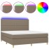 Cama box spring colchón y luces LED tela gris taupe 160x200