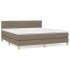 Cama box spring con colchón tela gris taupe 160x200
