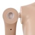 Maniquí femenino con base de vidrio beige 180