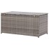 Caja de almacenaje de jardín ratán sintético gris 100x50x50