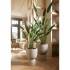 Emerald Planta heliconia artificial 125 cm verde