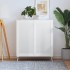 Puerta de armario lamas 2 uds madera pino blanco 99,3x49,4