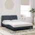 Estructura de cama luces LED terciopelo gris oscuro 120x200