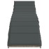Tumbona con cojín ratán sintético gris claro 55x199x50