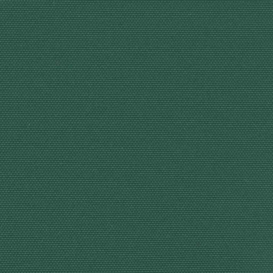 Toldo lateral retráctil verde oscuro 200x600