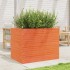 Jardinera madera maciza de pino marrón cera 90x60x68,5