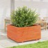 Jardinera madera maciza de pino marrón cera 90x90x49,5