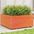 Jardinera madera maciza de pino marrón cera 100x100x49,5