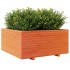 Jardinera madera maciza de pino marrón cera 100x100x49,5