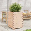 Jardinera madera maciza de pino 50x50x72,5 cm