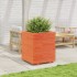 Jardinera madera maciza de pino marrón cera 60x60x72,5