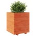 Jardinera madera maciza de pino marrón cera 60x60x72,5