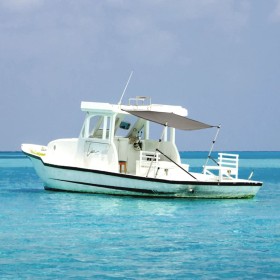 Set de toldo T-Top extensión gris 170x170x(113-182,5)