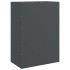 Aparador de acero gris antracita 67x39x95