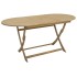 Juego de comedor de jardín 9 piezas madera maciza de