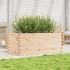 Jardinera de madera maciza de pino 110x60x46