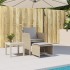 Sillón de jardín con reposapiés ratán sintético