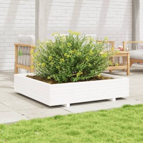 Jardinera de madera maciza de pino blanca 110x110x26,5