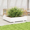 Jardinera de madera maciza de pino blanca 110x110x26,5 cm