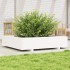 Jardinera de madera maciza de pino blanca 110x110x26,5