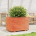Jardinera madera maciza de pino marrón cera 70x40x49,5