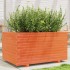 Jardinera madera maciza de pino marrón cera 90x60x49,5