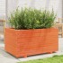 Jardinera madera maciza de pino marrón cera 90x60x49,5