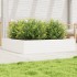Jardinera de madera maciza de pino blanca 110x110x23