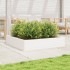 Jardinera de madera maciza de pino blanca 110x110x23