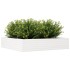 Jardinera de madera maciza de pino blanca 110x110x23