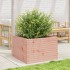 Jardinera madera maciza de abeto Douglas 70x70x45,5