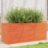 Jardinera de madera maciza de pino marrón cera 110x40x45,5