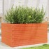 Jardinera madera maciza de pino marrón cera 90x60x45,5