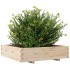 Jardinera madera maciza de pino 100x100x26,5