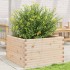 Jardinera de madera maciza de pino 80x80x46