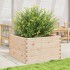 Jardinera de madera maciza de pino 80x80x46