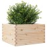 Jardinera de madera maciza de pino 80x80x46