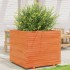 Jardinera madera maciza de pino marrón cera 80x80x72