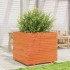 Jardinera madera maciza de pino marrón cera 80x80x72