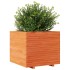 Jardinera madera maciza de pino marrón cera 80x80x72