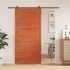 Puerta de granero madera maciza pino marrón miel 100x208