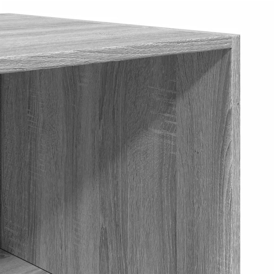 Armario de madera contrachapada gris Sonoma 100x50x200